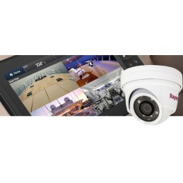 Raymarine Telecamera a cupola CAM220 IP Diurna Notturna E70347