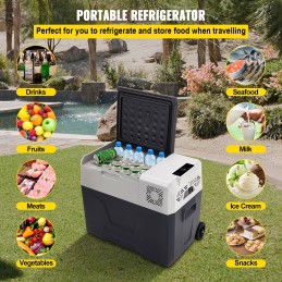 Mini Frigo Freezer portatile 40Lt 12/24/220V con App Control