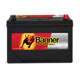 Batteria Banner 12V 95Ah Power Bull con spunto 740A