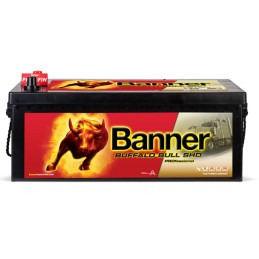 Batteria Banner 12V 225Ah Buffalo Bull SHD Professsional 1150A