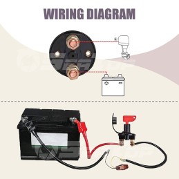 Staccabatterie Marino 12-24V 100A SeaTop con 2 chiavi
