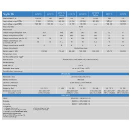 Victron Energy Serie Skylla-TG Carica batterie 24V 100A Trifase