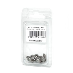 Viti autofilettanti a testa cilindrica DIN7981 Inox A2 5,5x13mm 8pz