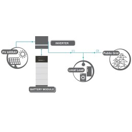 Pylontech FORCE-L2 FC0048M-100 Modulo BMS per accumulo Pylontech