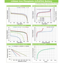 TopSolar Batteria al Litio LiFePO4 12.8V 100Ah BMS Smart integrato