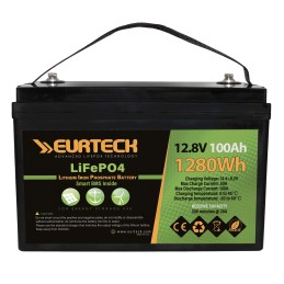 Eurteck Batteria al Litio LiFePO4 12.8V 100Ah 1280Wh BMS Smart