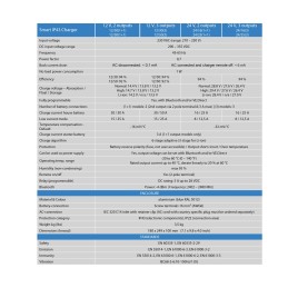 Victron Phoenix Smart IP43 24/25 Caricabatterie 24V 25A 3 OUT BT
