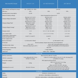 Victron Blue Smart Charger 24/13 Caricabatterie Portatile IP65 24V 13A