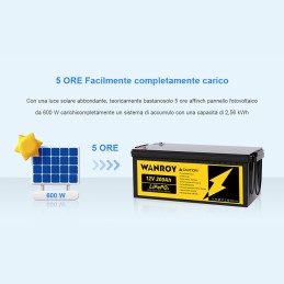 WANROY 12V 200Ah Batteria LiFePO4 con 100A BMS 12,8V 2560Wh