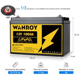 WANROY 12V 100Ah Batteria LiFePO4 con 100A BMS 12,8V 1280Wh