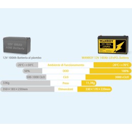 WANROY 12V 100Ah Batteria LiFePO4 con 100A BMS 12,8V 1280Wh