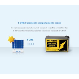 WANROY 12V 100Ah Batteria LiFePO4 con 100A BMS 12,8V 1280Wh