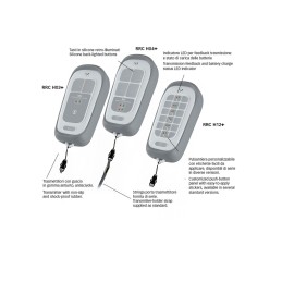 Quick RRC H04+ Trasmettitore a pulsantiera per Salpa Ancora 869Mhz