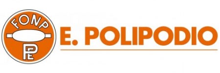 Polipodio